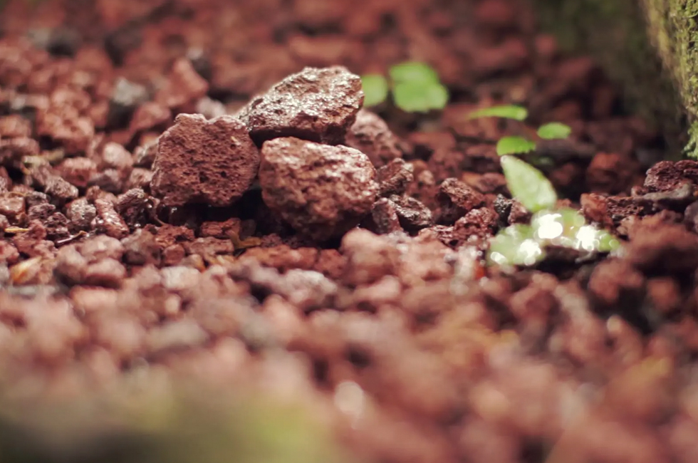 贵州习酒制作因素 土壤